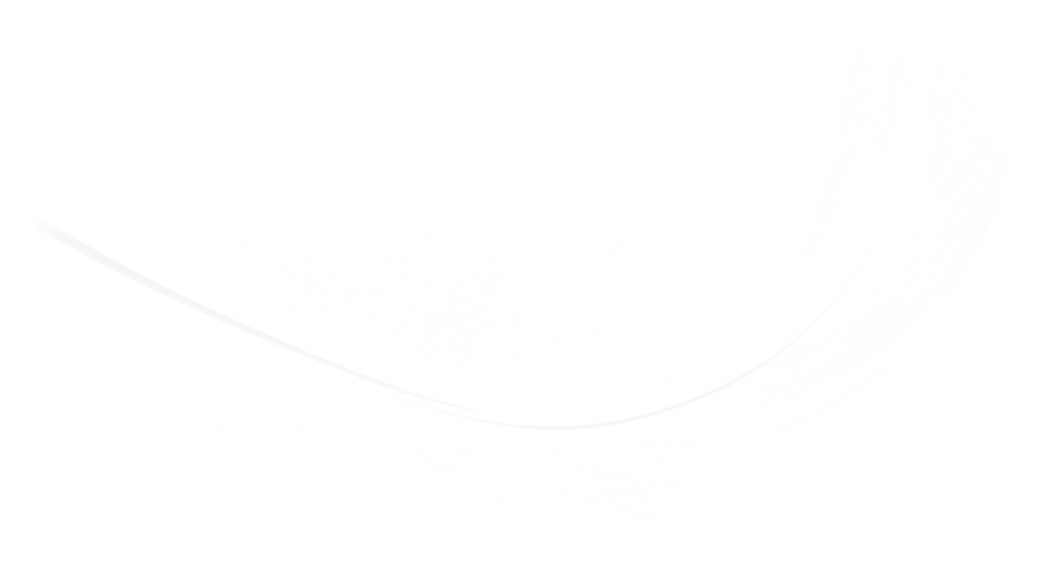 feather
